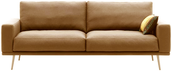 carlton_fixattu_nahka