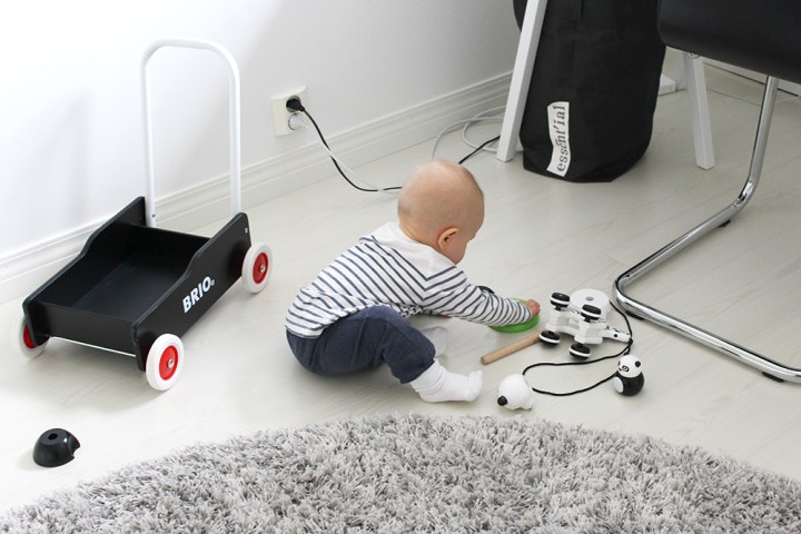 nuka_leikkii_toimistolla