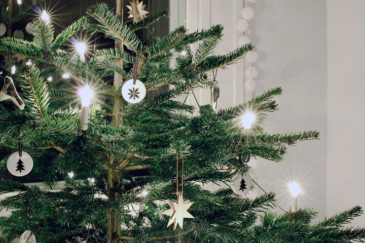 joulukuusi_lahikuva