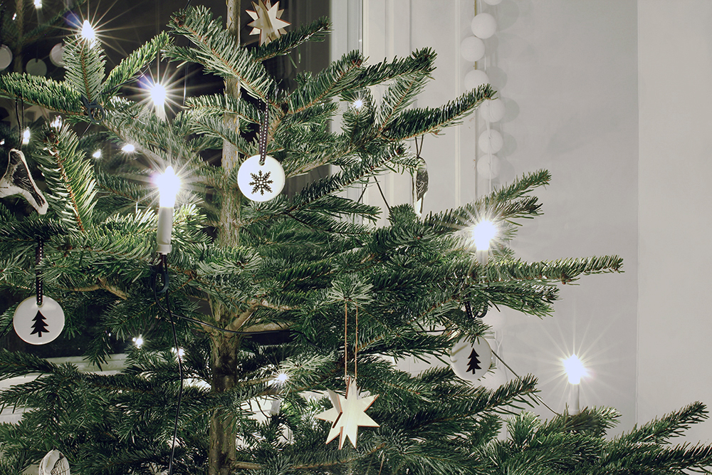 joulukuusi_lahikuva