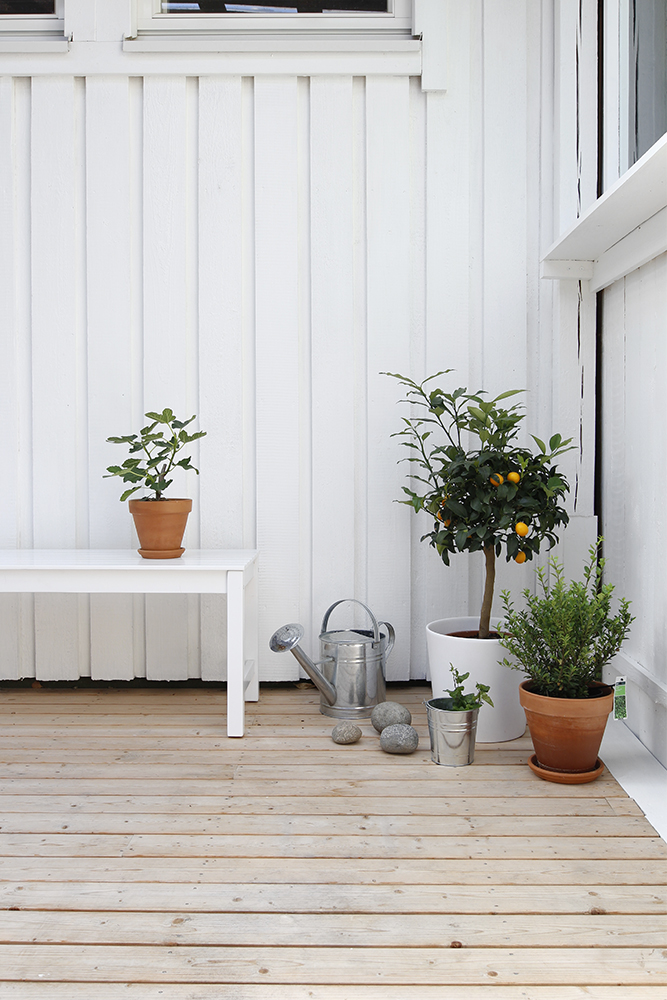 katettu_terassi_kulma